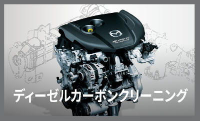 ディーゼルカーボンクリーニング