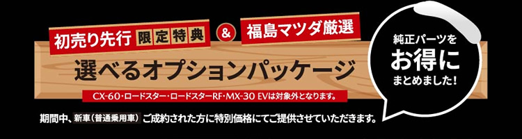 初売り先行特典2 選べるオプションパッケージ