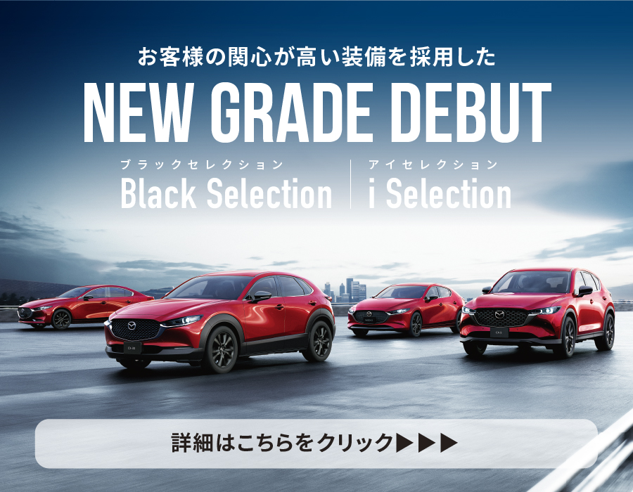 新グレード登場