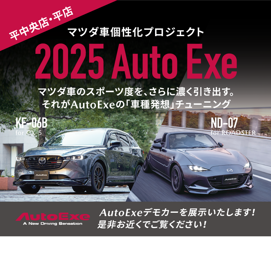 2025 Auto Exe