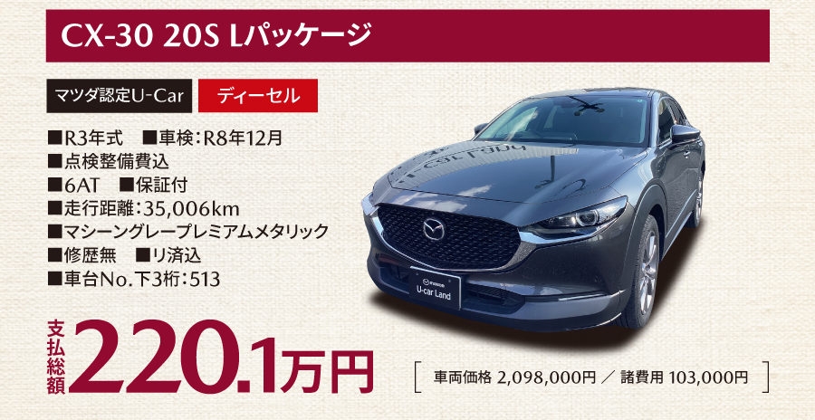 CX-30