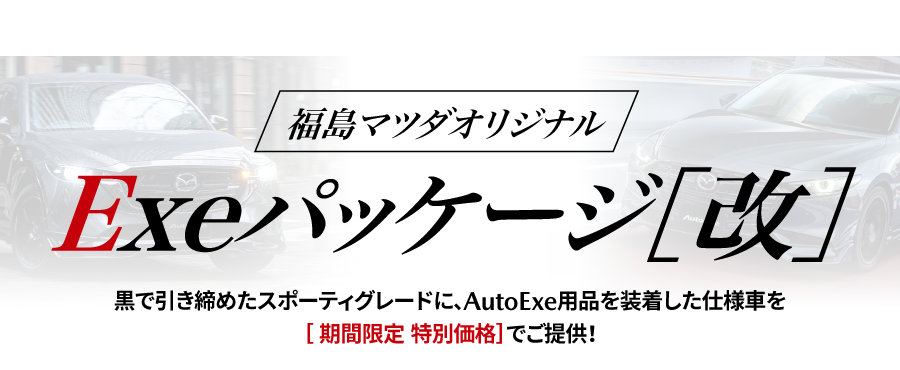 exeパッケージ改