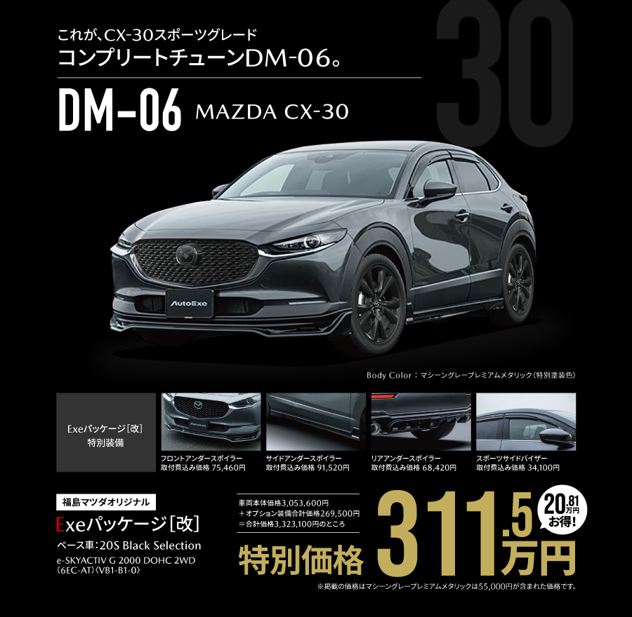 CX-30