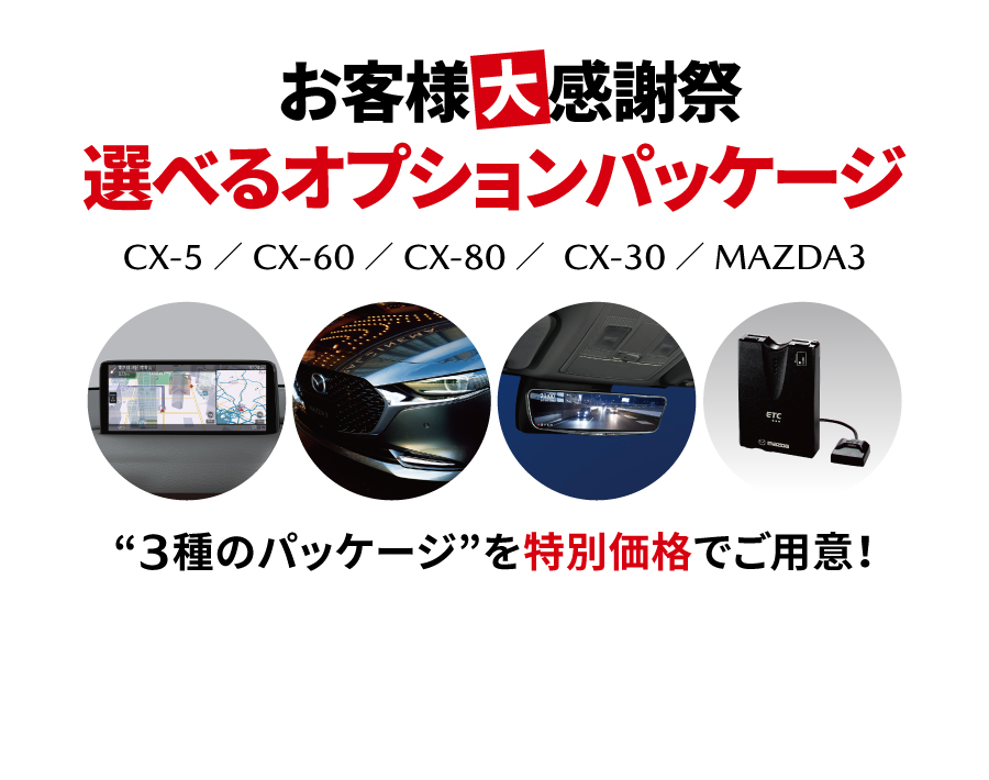 オプションパッケージ